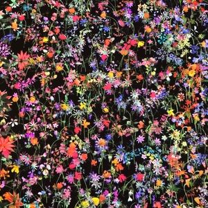 Meet your Posher, Ellery